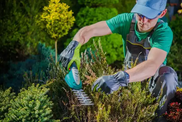 landscaping services Hebron Estates